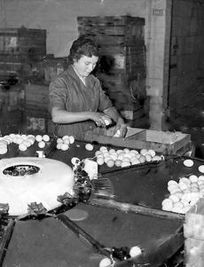 Stamford Co-op Egg Depot